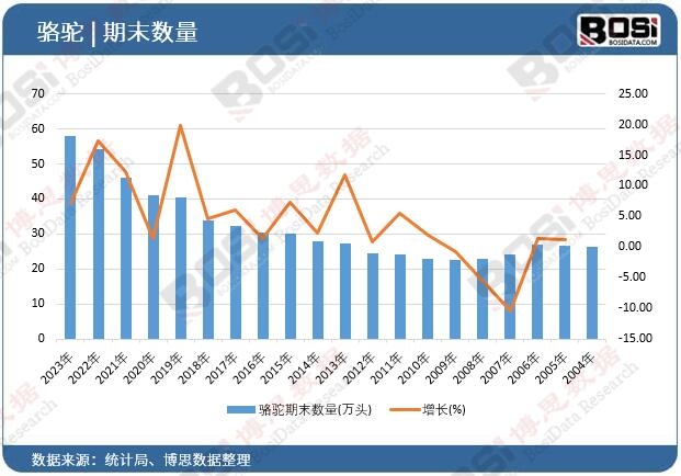 ����ĩ����